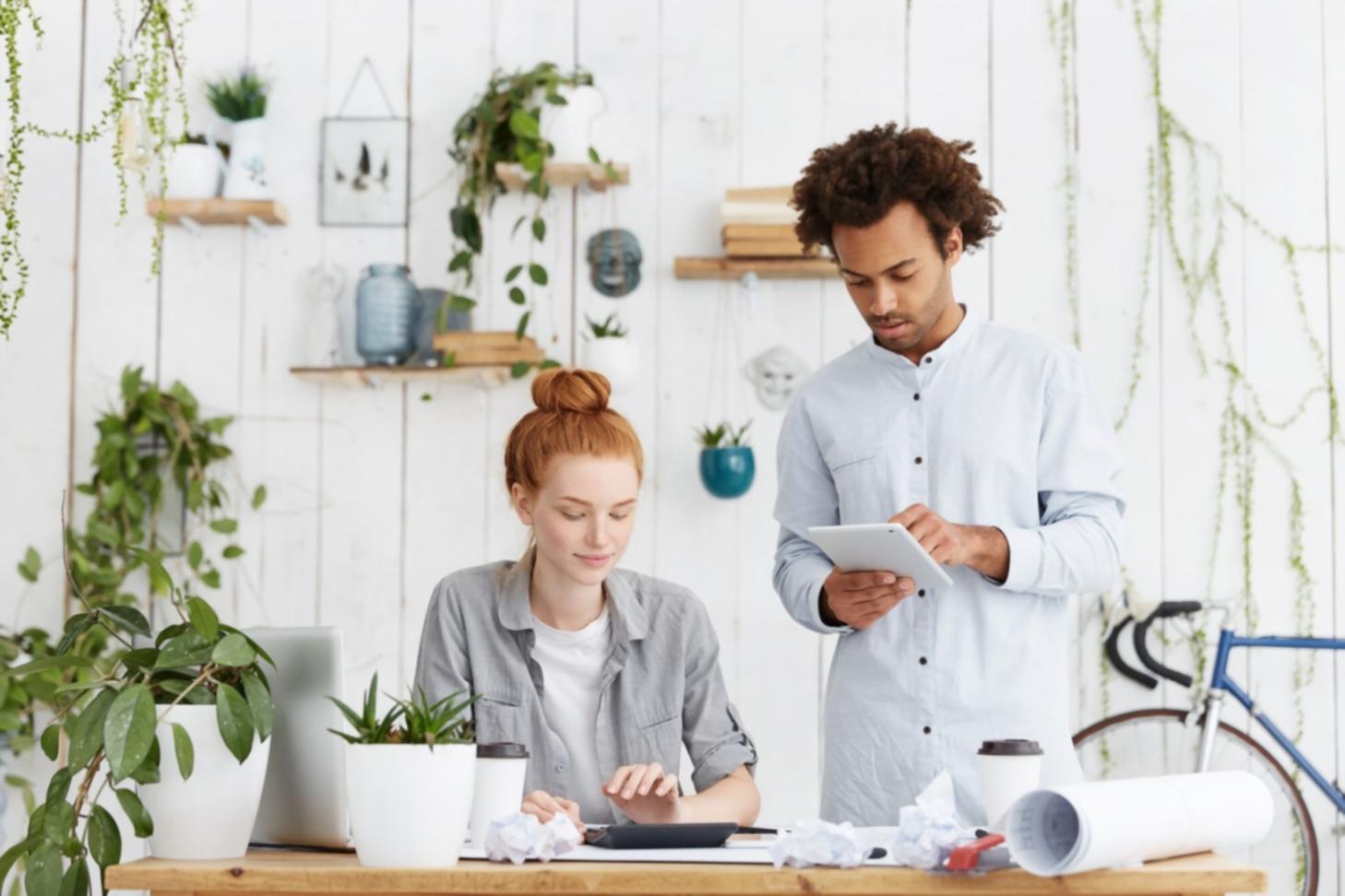 Professionelle Finanzanalyse und Szenarioplanung